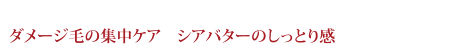 ダメージ毛の集中ケア　シアバターのしっとり感
