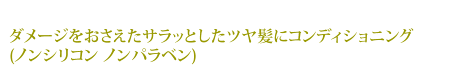 ダメージをおさえたサラッとしたツヤ髪にコンディショニング
(ノンシリコン ノンパラベン)