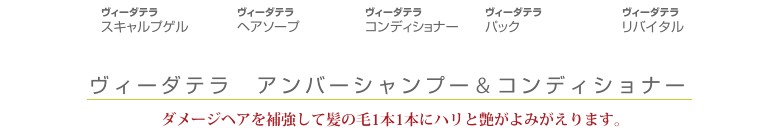 ヴィーダテラ スキャルプゲル　ヴィーダテラ ヘアソープ　ヴィーダテラ コンディショナー　ヴィーダテラ パック　ヴィーダテラ リバイタル　ヴィーダテラ　アンバーシャンプー＆コンディショナー　ダメージヘアを補強して髪の毛1本1本にハリと艶がよみがえります。